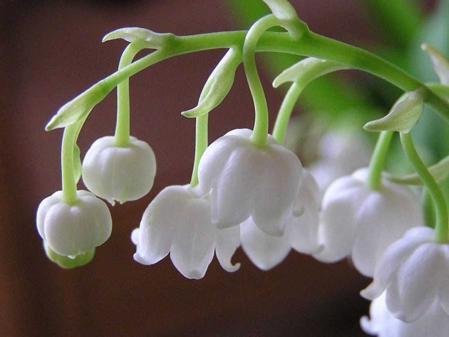 №9297 - оригинал