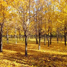 Схема вышивки «№9687»