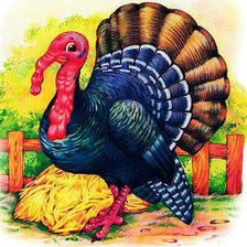 Схема вышивки «индюк»