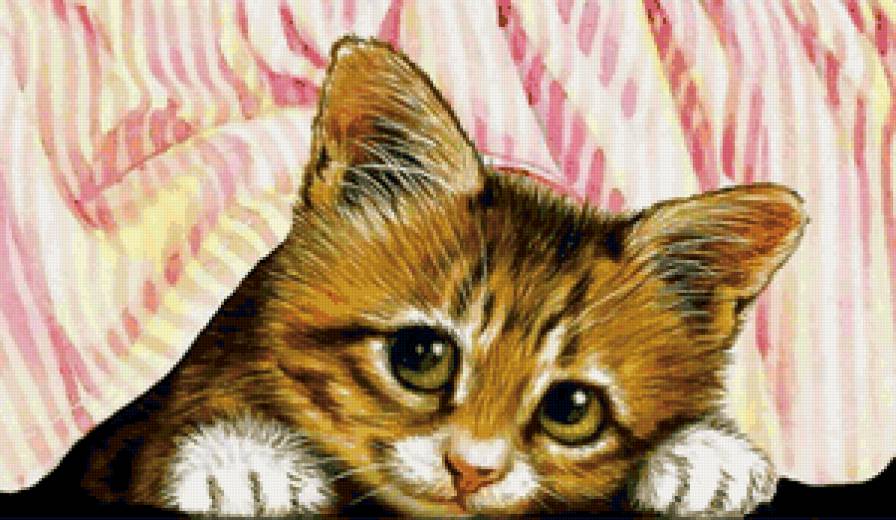 котенок - предпросмотр