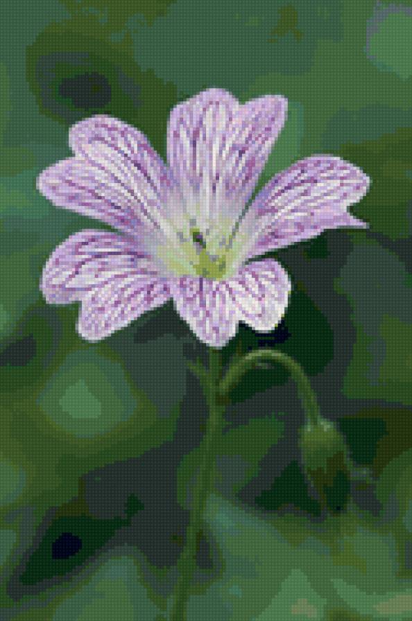 №9754 - предпросмотр