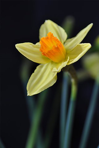 №9839 - оригинал