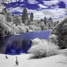 Схема вышивки «3»