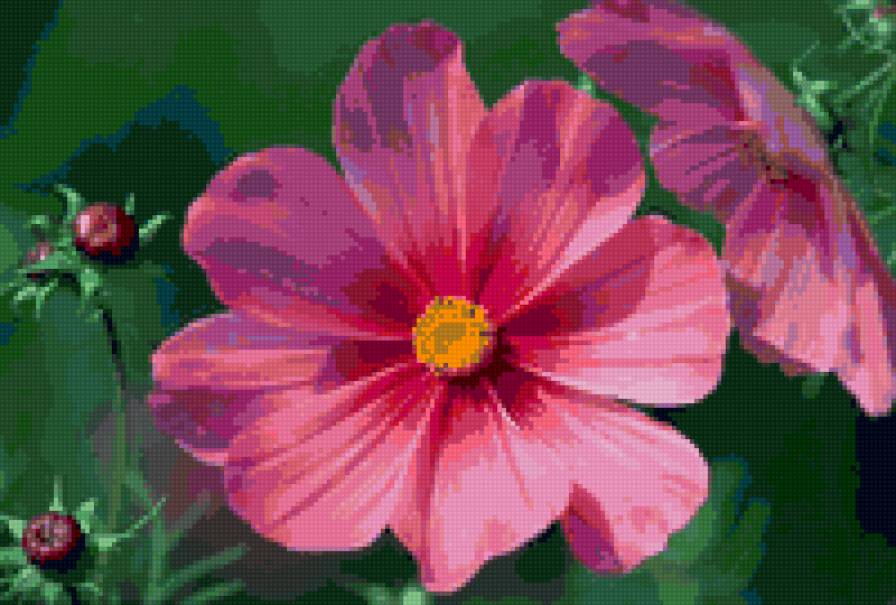 №9850 - предпросмотр