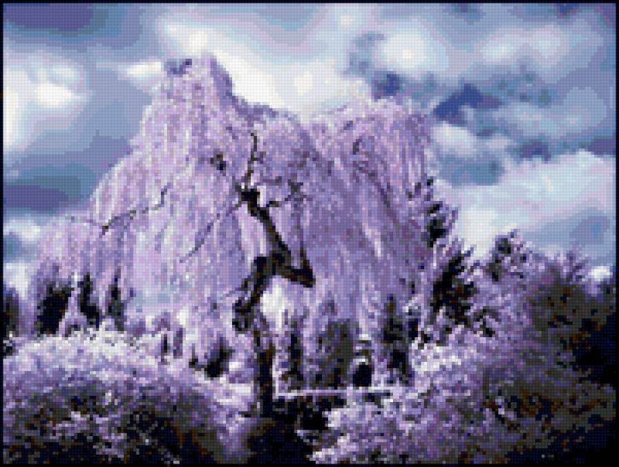 5 - природа, деревья - предпросмотр