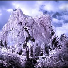 Схема вышивки «5»