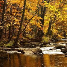 Схема вышивки «№9910»