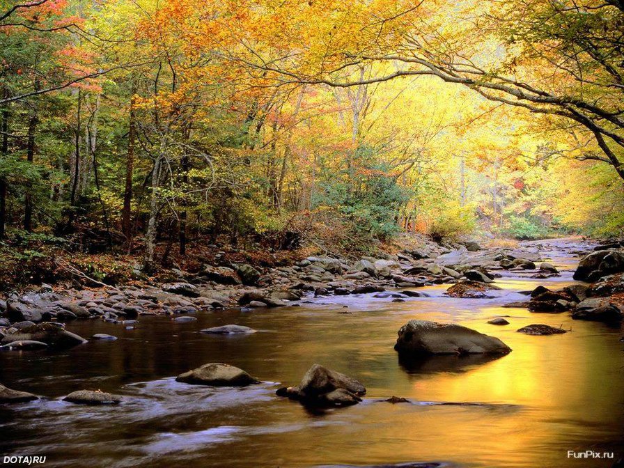 природа - природа - оригинал