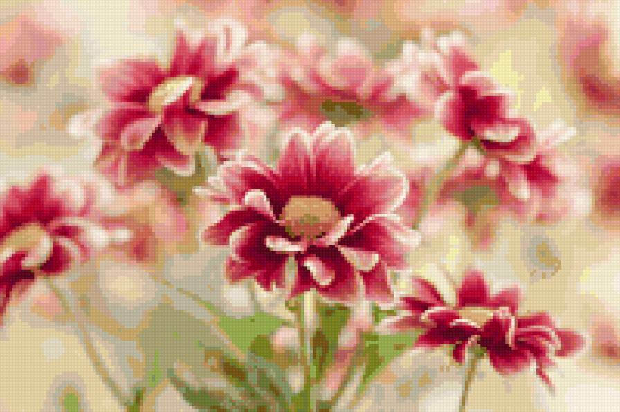 цветы - предпросмотр