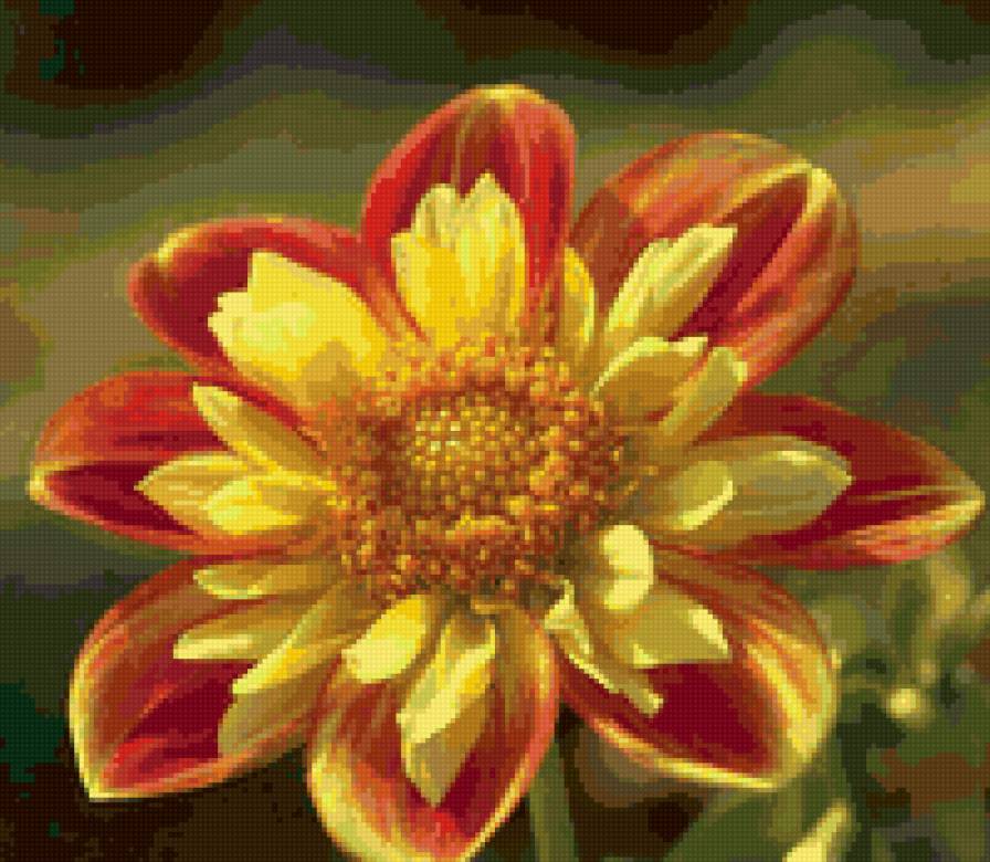 георгин - георгин, цветок, цветы - предпросмотр