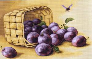 Корзина со сливами - слива, корзина, ягода, лето - оригинал