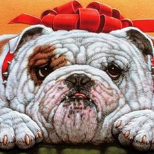 Схема вышивки «Смешной бульдожка»