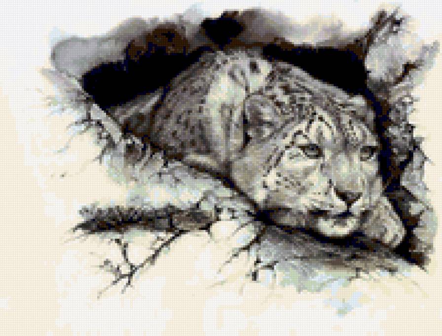 Снежный барс - животные, живопись, кошка, акварель - предпросмотр