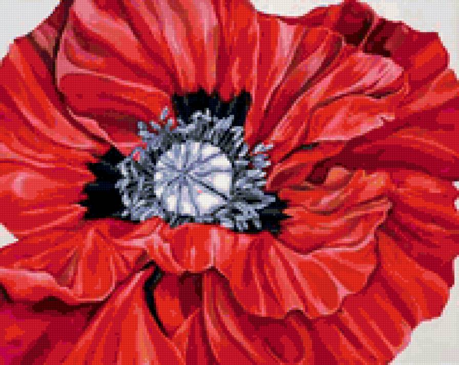 Мак - цветок, подушка, панно, любимые маки, маки, цветы - предпросмотр