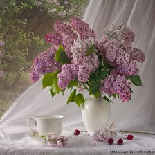 Схема вышивки «живопись»