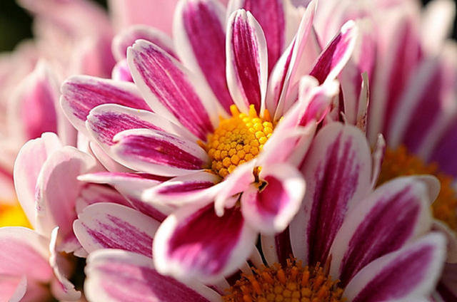 №10476 - оригинал