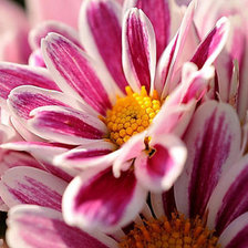 Схема вышивки «№10476»