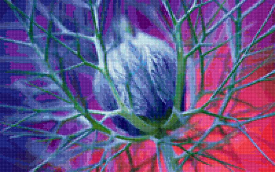 №10482 - предпросмотр