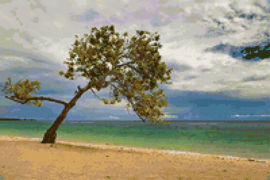 одиночество - дерево, природа - предпросмотр