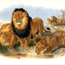 Схема вышивки «№10531»