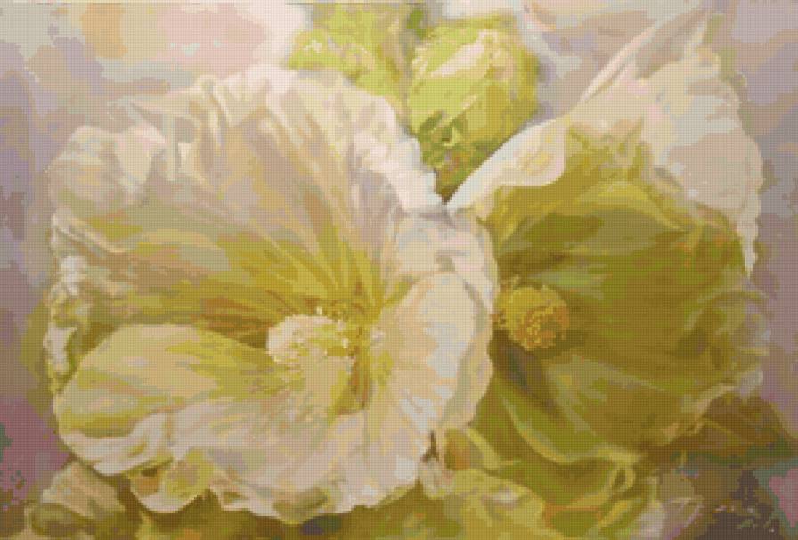 Мальва - букет, цветы, мальва - предпросмотр