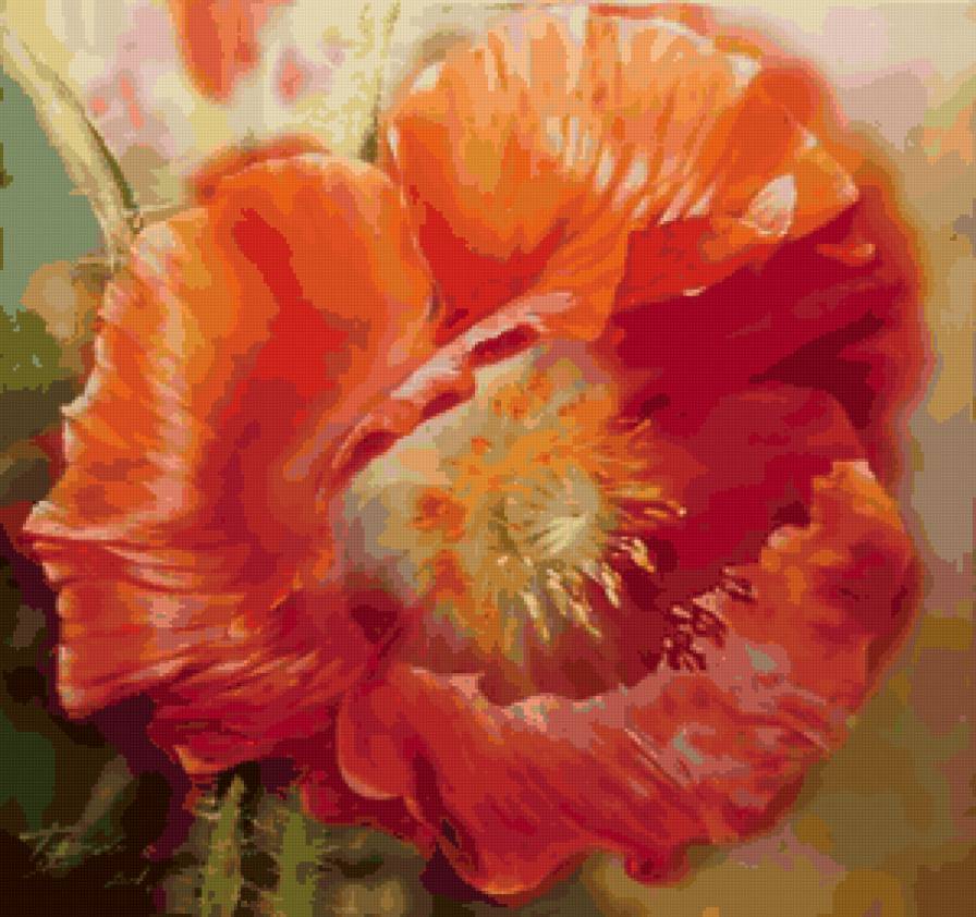 Мальва - мальва, букет, цветы - предпросмотр