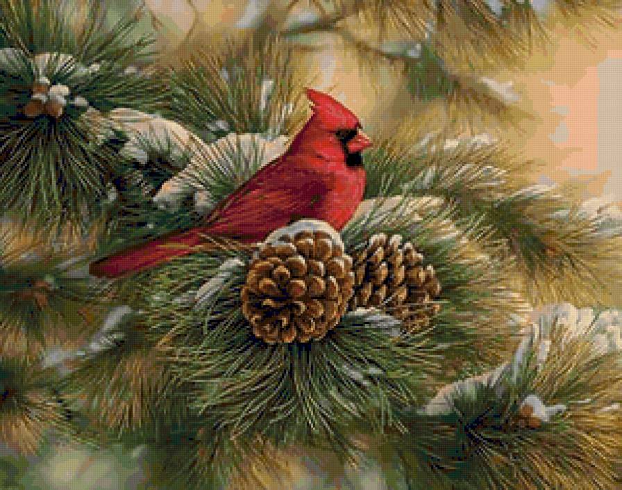 Очень красивая птичка) - птица, птичка - предпросмотр