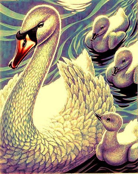 №10778 - оригинал