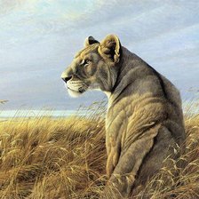 Схема вышивки «львица»