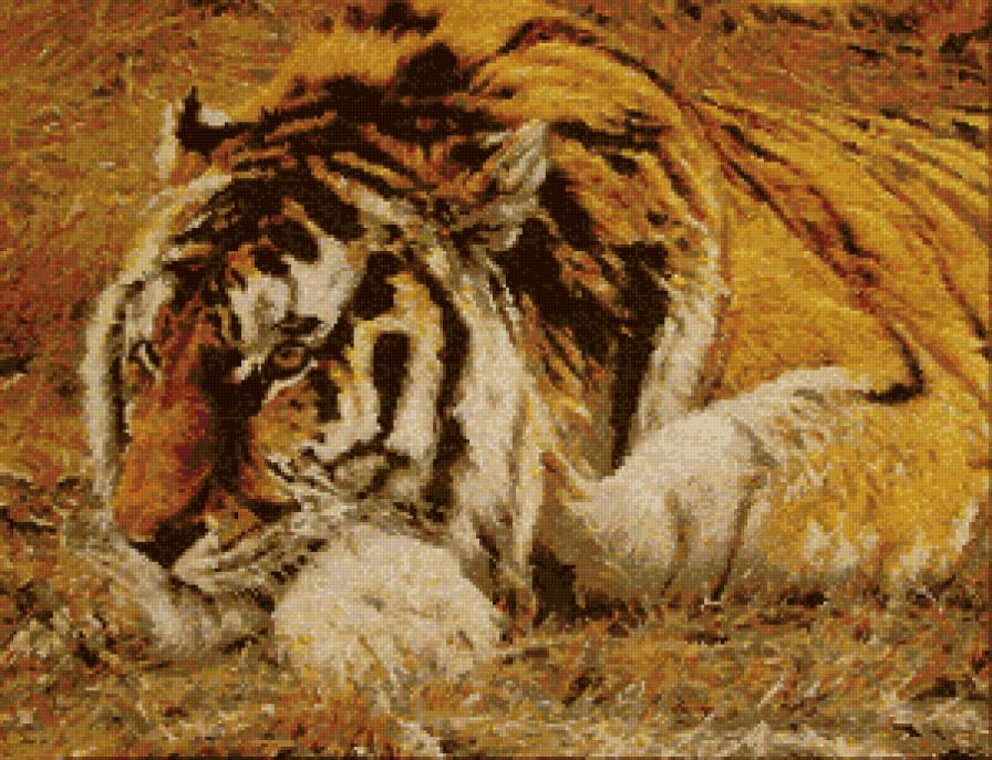 тигр - животные - предпросмотр