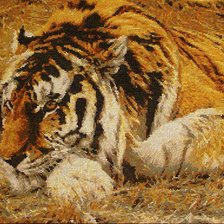 Схема вышивки «тигр»