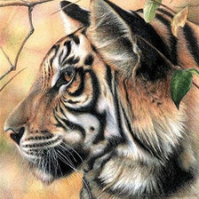 Схема вышивки «Тигр»