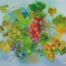 Схема вышивки «виноград»