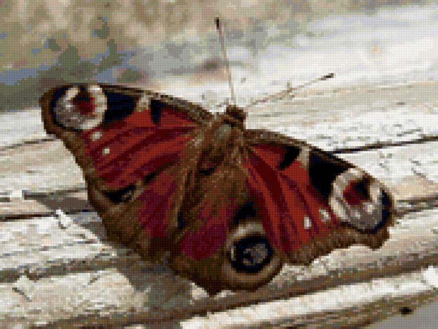 Babochka - babochka - предпросмотр