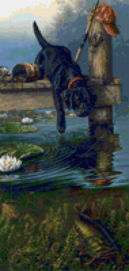 рыболов - животные, собака, вода, рыблка - предпросмотр