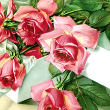 Схема вышивки «розы»