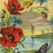 Схема вышивки «Babochka»