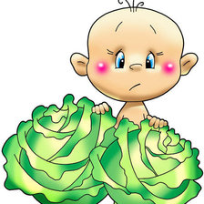 веселые картинки