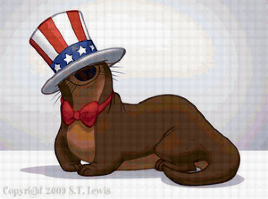 тюлень - предпросмотр