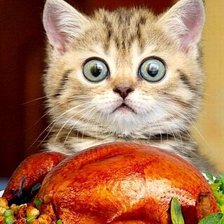 Схема вышивки «котик»