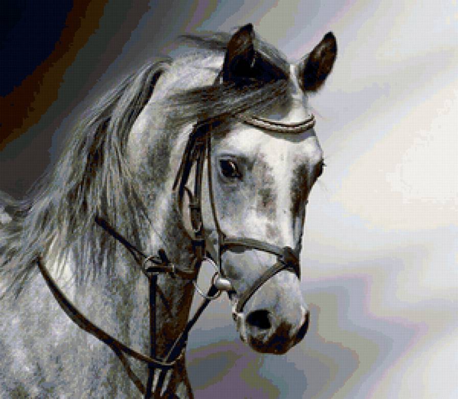 Конь - лошади, животные - предпросмотр