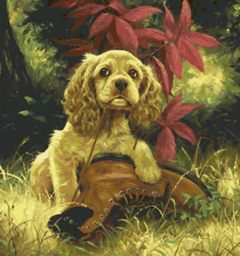 Любимый ботинок - животные, собаки - предпросмотр