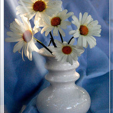 Схема вышивки «Ромашки 2»