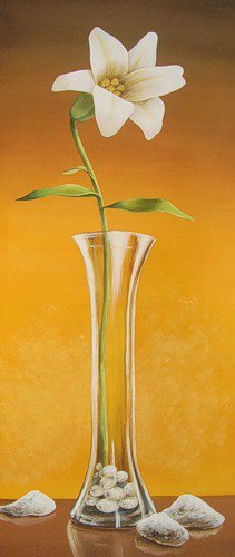 нарцисс - оригинал