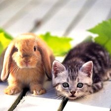 Схема вышивки «друзья»