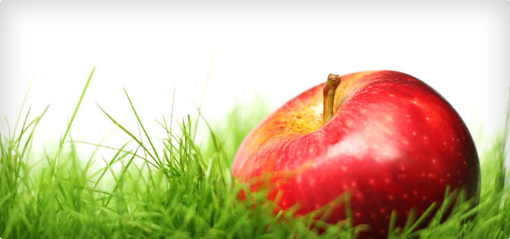 яблоко - оригинал