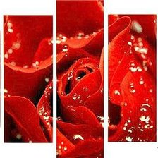 Схема вышивки «Роза»