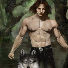 Схема вышивки «волки»