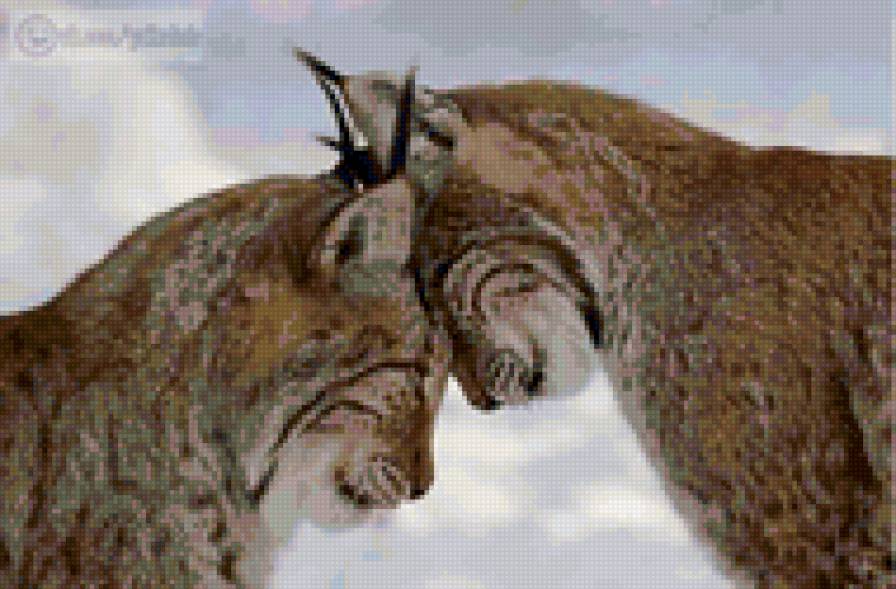 рысь - предпросмотр