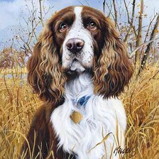 Схема вышивки «Собака»